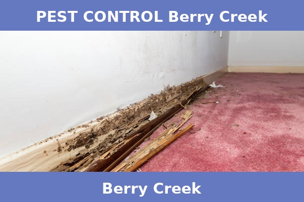 PEST CONTROL Berry Creek